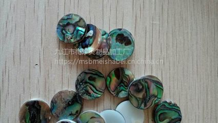 鮑魚貝樂器配件 貝殼工藝品